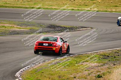 media/Feb-25-2024-Speed Ventures (Sun) [[b9a2a97a4d]]/Mustang Drivers Club/Session 1 (Turns 4 and 5)/